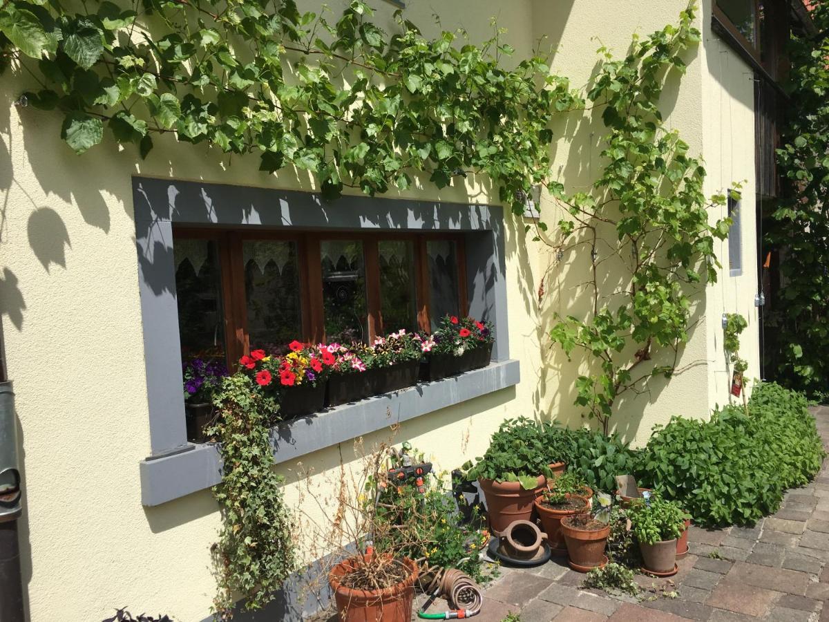 Ferienhaus Mit Naturgarten Dachsen Exterior foto