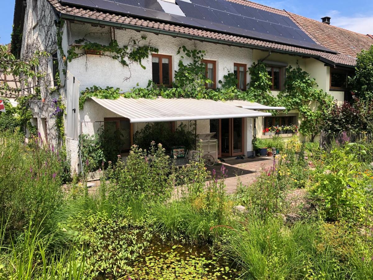 Ferienhaus Mit Naturgarten Dachsen Exterior foto